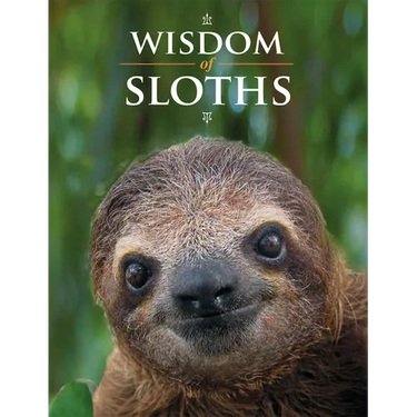 Wisdom of Sloths