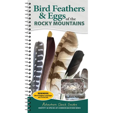 Bird Feathers & Eggs of the Rocky Mountains: Identify 40 Species of Common Backyard Birds