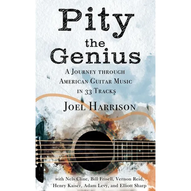 Pity the Genius: A Journey through American Guitar Music in 33 Tracks