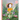 The Fairy Garden