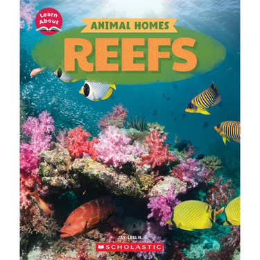 Reefs (Learn About: Animal Homes)