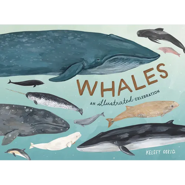 Whales: An Illustrated Celebration