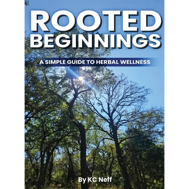 Rooted Beginnings: A simple guide to herbal wellness