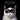 Feline: Photographs