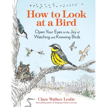 How to Look at a Bird: Open Your Eyes to the Joy of Watching and Knowing Birds