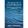 The Secret Life of Copyright: Intellectual Property and Inequality in the Age of AI