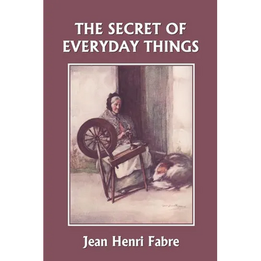 The Secret of Everyday Things (Yesterday's Classics)