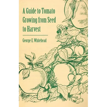 A Guide to Tomato Growing from Seed to Harvest