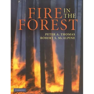 Fire in the Forest