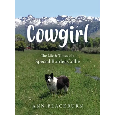 Cowgirl: The Life & Times of a Special Border Collie