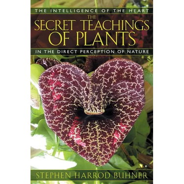 The Secret Teachings of Plants: The Intelligence of the Heart in the Direct Perception of Nature