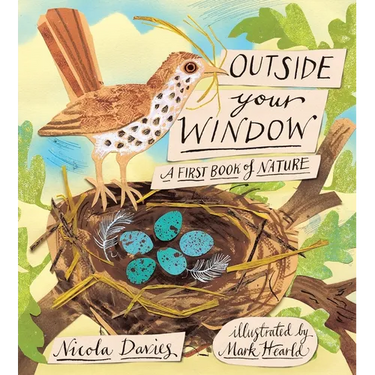 Outside Your Window: A First Book of Nature