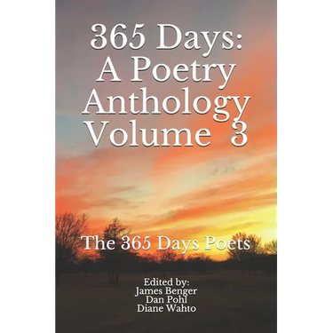 365 Days: Volume 3