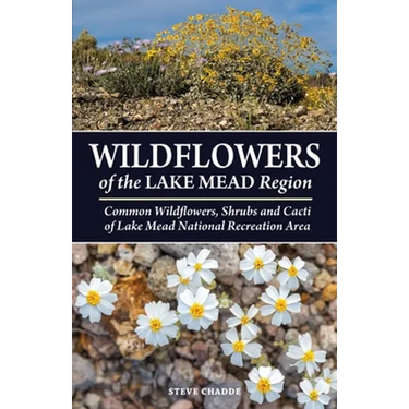Wildflowers of the Lake Mead Region