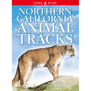 Northern California Animal Tracks