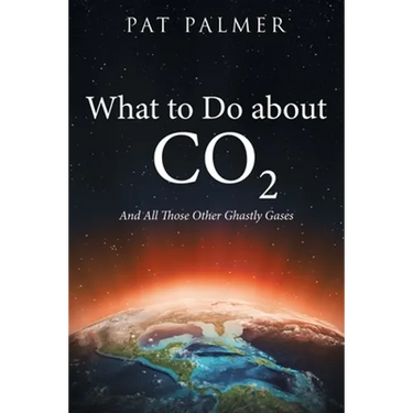 What to Do About Co2: And All Those Other Ghastly Gases