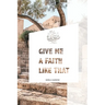 Give Me A Faith Like That: A Walk In The Footsteps Of Old Testament Saints