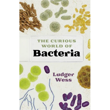 The Curious World of Bacteria