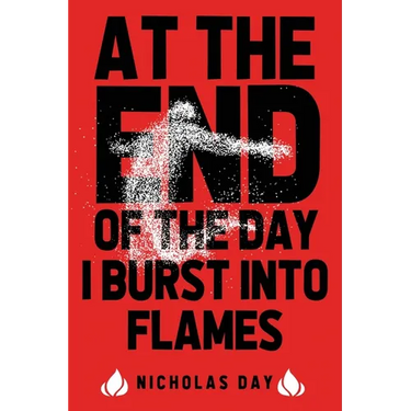 At The End Of The Day I Burst Into Flames