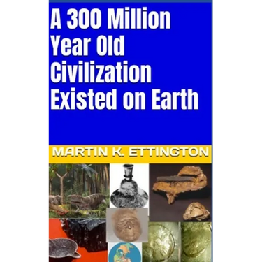 A 300 Million Year Old Civilization Existed on Earth