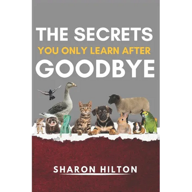 The Secrets You Only Learn After Goodbye