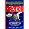 Rumi Soul Healer: A Transcendental Story of Ecstatic Passion and Mystical Love