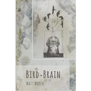 Bird Brain