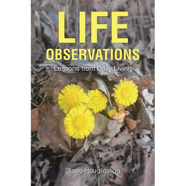 Life Observations: Lessons from Daily Living