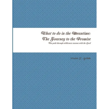 What to do in the Meantime: The Journey to God's Promises