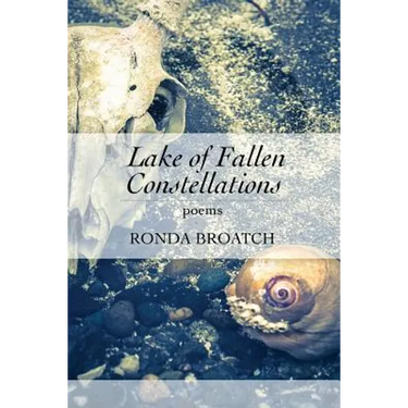 Lake of Fallen Constellations