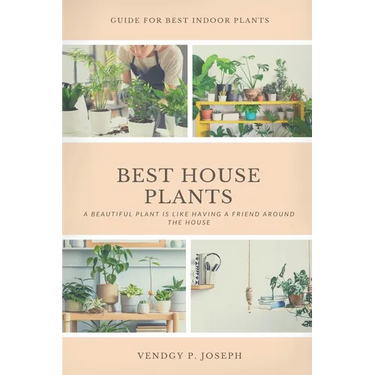 Best House Plants: Guidelines on how to grow, care and propagate your indoor plants.
