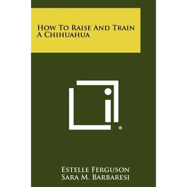 How To Raise And Train A Chihuahua