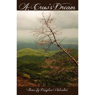 A Crow's Dream