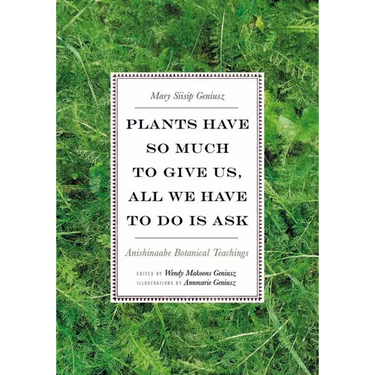Plants Have So Much to Give Us, All We Have to Do Is Ask: Anishinaabe Botanical Teachings
