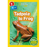 Tadpole to Frog (National Geographic Kids Readers, Level 1/Co-Reader): Animals Grow Up
