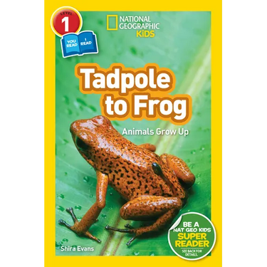 Tadpole to Frog (National Geographic Kids Readers, Level 1/Co-Reader): Animals Grow Up