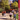 Picture WSU: Images from Washington State University