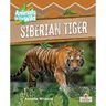 Siberian Tiger