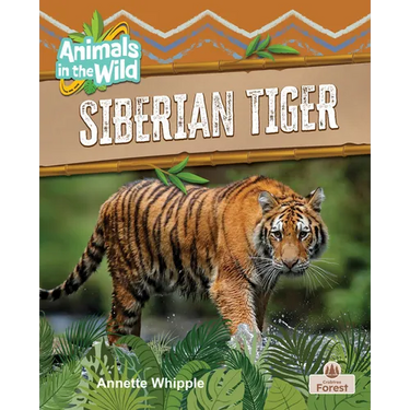 Siberian Tiger