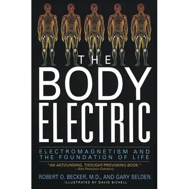 The Body Electric: Electromagnetism and the Foundation of Life
