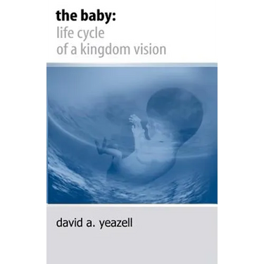 The Baby: : Life Cycle of a Kingdom Vision