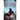 Cryptid Angel