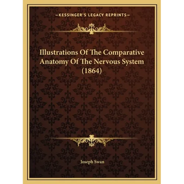 Illustrations Of The Comparative Anatomy Of The Nervous System (1864)
