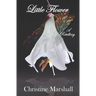 Little Flower: A Retelling