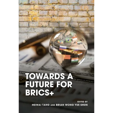 Towards a Future for BRICS+