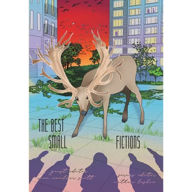 The Best Small Fictions Anthology 2021