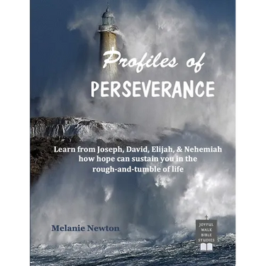 Profiles of Perseverance: Learn from Joseph, David, Elijah, & Nehemiah how hope can sustain you in the rough-and-tumble of life