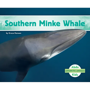 Southern Minke Whale