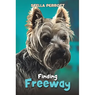 Finding Freeway