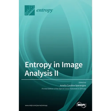 Entropy in Image Analysis II